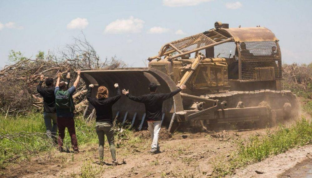 Una resoluci�n ins�lita que golpea a la producci�n rural de Salta