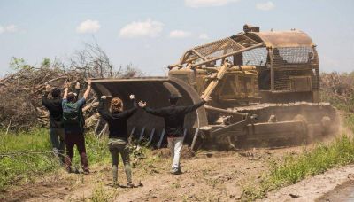Una resoluci�n ins�lita que golpea a la producci�n rural de Salta