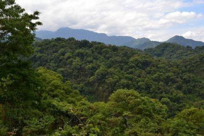 El Gobierno suspendi� la ejecuci�n de los cambios de uso de suelos en finca Cuchuy