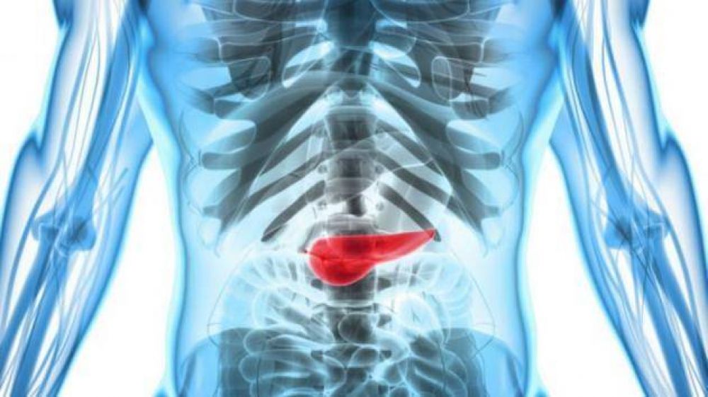 Nueva nanomedicina podr�a prevenir la progresi�n del c�ncer de p�ncreas
