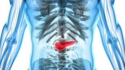 Nueva nanomedicina podr�a prevenir la progresi�n del c�ncer de p�ncreas