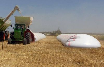 Investigan a un productor por supuesta evasi�n millonaria