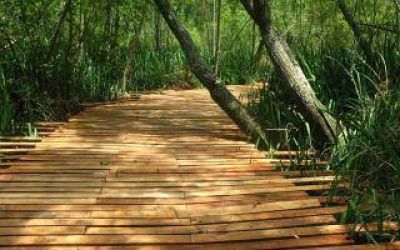 Avanzan las obras para la creaci�n de la Reserva Natural Avellaneda