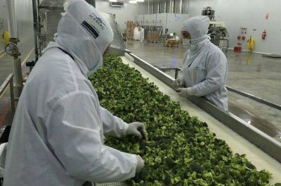 Estiman que este a�o crecer� 15% la entrega de cr�ditos oficiales subsidiados