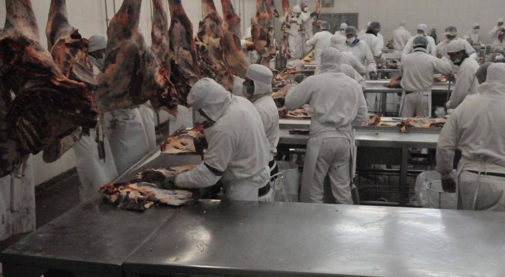 En Crdoba, los frigorficos produjeron 12.600 toneladas ms de carne vacuna