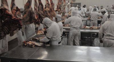 En C�rdoba, los frigor�ficos produjeron 12.600 toneladas m�s de carne vacuna