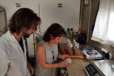 Investigador chubutense desarrolla planta piloto de hongos comestibles a partir de residuos recuperados