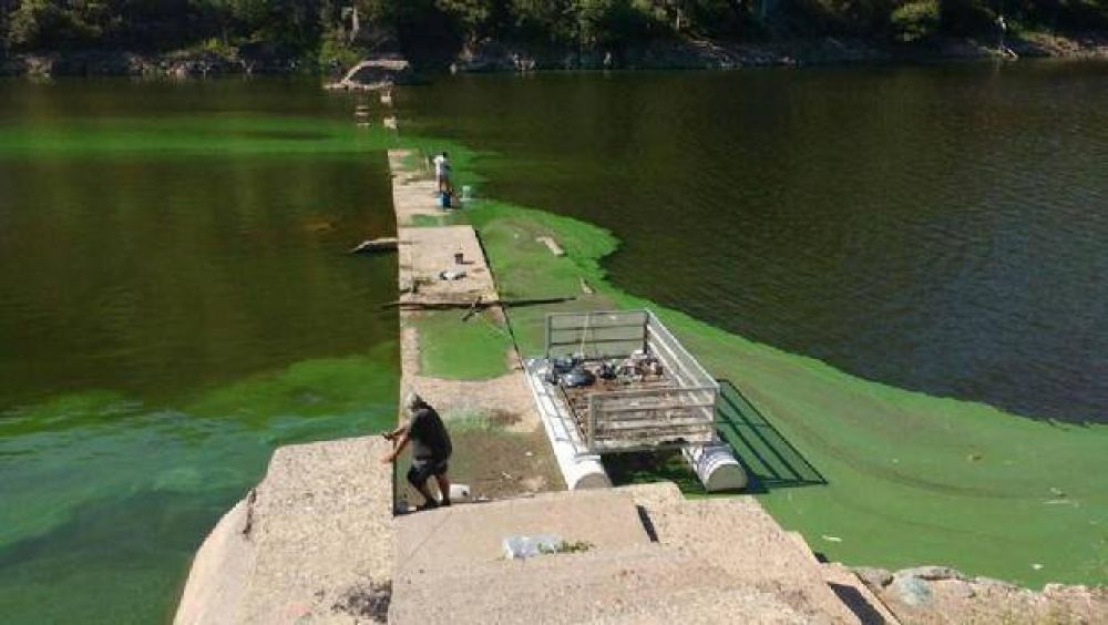 Provincia comenz� a remover las algas que se acumularon en el dique San Roque