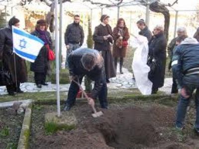 El mundo jud�o celebra T�U Bishvat, fiesta ecol�gica llamada �el A�o Nuevo de los �rboles�