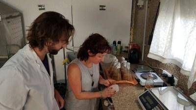 Producir�n hongos comestibles a partir de reciclado de basura