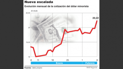 El d�lar vol� a 20,22 pesos,catapultado por inversores que buscan activos seguros