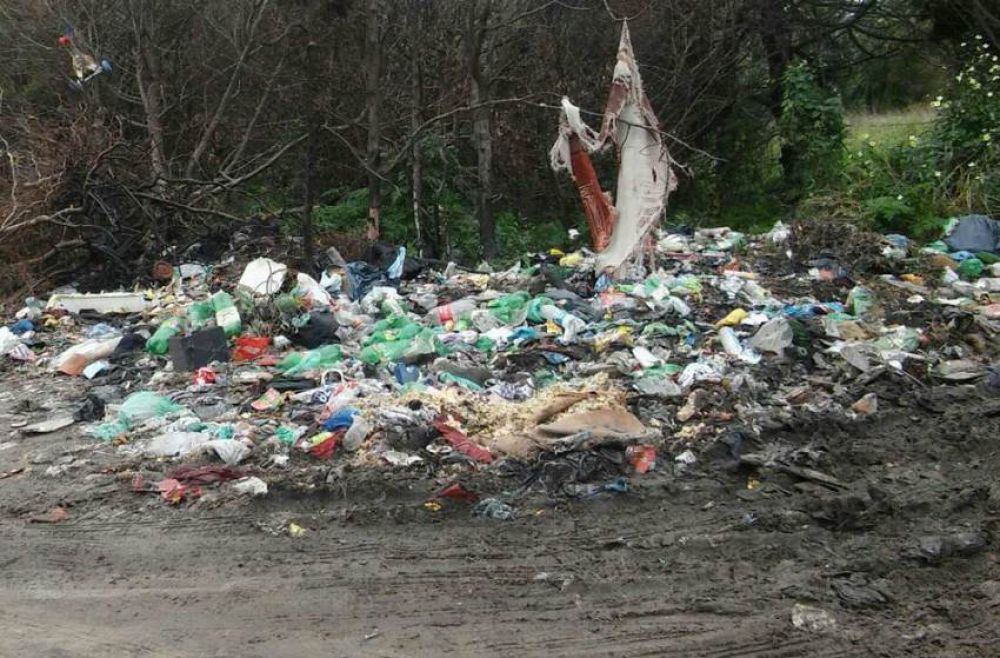 Arroyo busca secuestrar vehculos por arrojar residuos en la calle