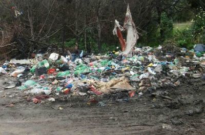 Arroyo busca secuestrar veh�culos por arrojar residuos en la calle