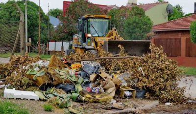 El Municipio recogi� m�s de 870 toneladas de residuos