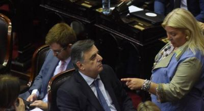 Carri� busca socios en la UCR para desplazar a Garavano