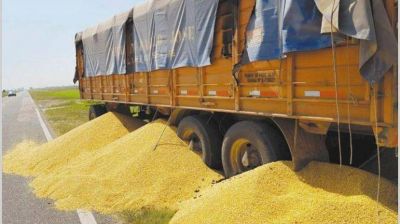 Tregua en conflicto con transportistas y trep� el precio de la soja disponible