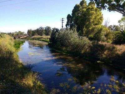 Mal olor en el arroyo Del Medio: piden al frigor�fico readecuar planta de efluentes