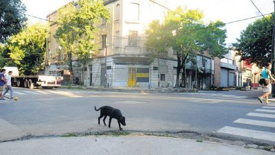 El fallo que barri� con los argumentos de Macri
