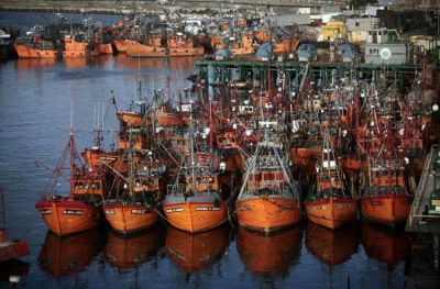 Conserveros advierten que el mercado est� �inundado� de importaciones