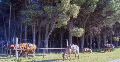 La Municipalidad busca dotar de m�s y mejores servicios en el Parque