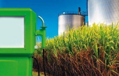 Agroindustria quiere potenciar la producci�n de Biodi�sel en la provincia
