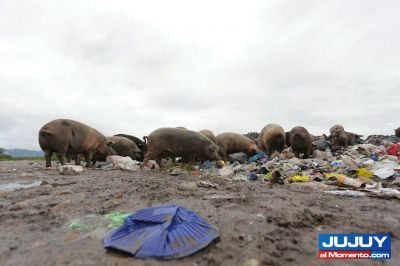 Basura y contaminaci�n: un problema cr�nico en Jujuy
