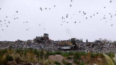 Basura: inminente anuncio para una licitaci�n de m�s de 470 millones de pesos