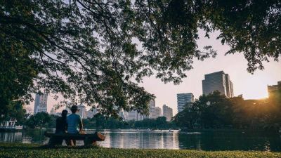 El Papa: hay demasiado cemento en las ciudades; hay que crear �oasis de belleza�