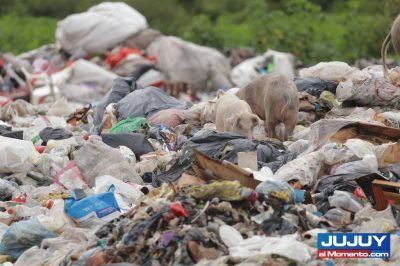 A�n no se implementa el Programa Girsu