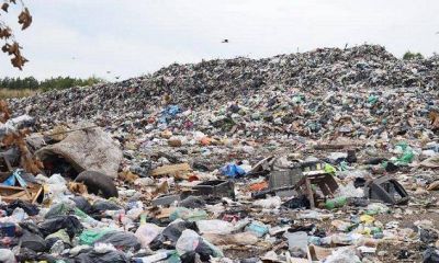 Monte, basura cero?