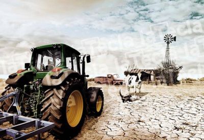 El drama rural ante la falta de agua