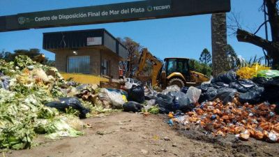 Emergencia: el CEAMSE, el mismo perro con diferente collar; TECSAN K.O.