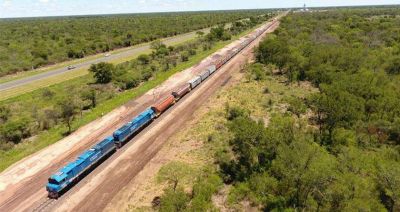 El tren de carga sigue creciendo en materia de carga transportada en todo el pa�s