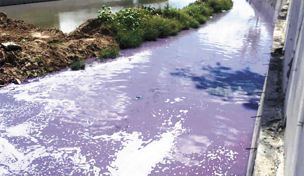 Sorpresa y preocupacin en Ringuelet por el arroyo El Gato teido de violeta