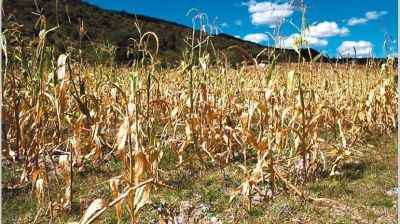 Ante el avance de la sequ�a, estiman que en 2018 el PBI puede crecer menos de 2,5%