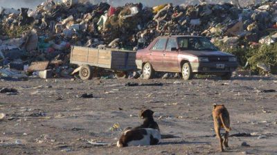 Invertir�n $50 millones para separar la basura