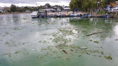 Desechos cloacales, basura y detergentes, la contaminaci�n del lago San Roque