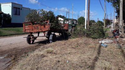 La Municipalidad contin�a realizando la limpieza de terrenos abandonados