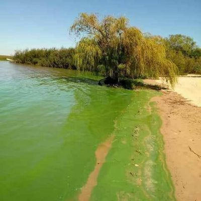 La Municipalidad pidi� explicaciones a la CARU