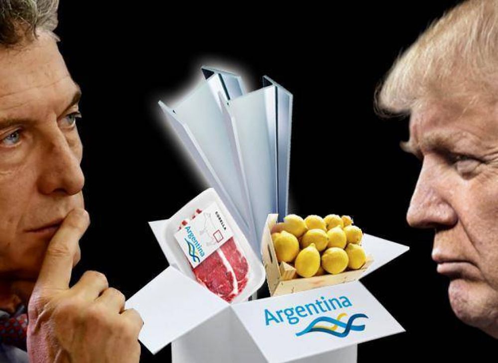 Acero, carne y limones: qu negocios puede perder y ganar el Gobierno en su pulseada con un Trump 