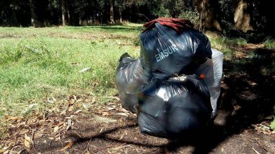 Recogieron cerca de 300 kilos de residuos en la Laguna de los Padres
