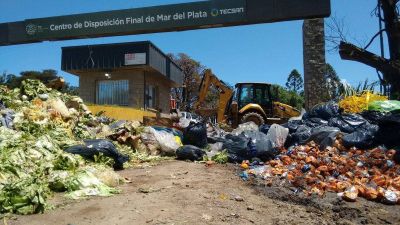 Residuos: el gobierno municipal a�n no elev� al Concejo el convenio con CEAMSE
