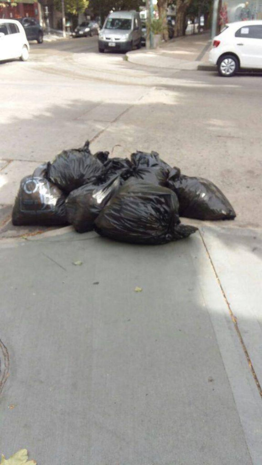 En la calle Olavarr�a reclaman el retiro de bolsas de basura