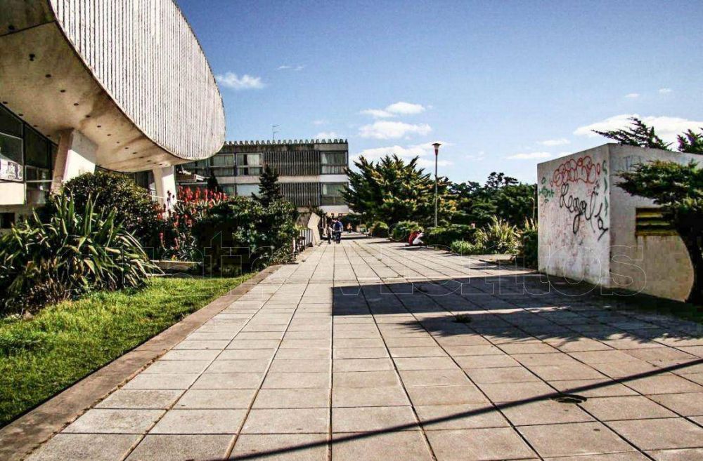 Inversi�n en el Casino: �Va avanzando pero va al ritmo burocr�tico normal�