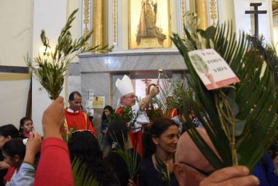 En Domingo de Ramos, Stanovnik alent� a �cuidar la vida desde la concepci�n�