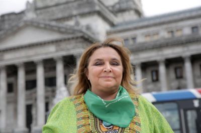 Diputada Araceli Ferreyra: 