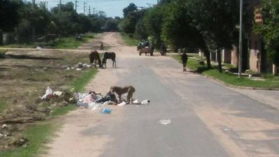 Vecinos de varios barrios piden la limpieza de basurales e iluminaci�n