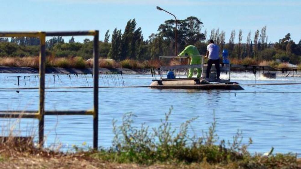 En abril licitar�n la nueva planta clocal