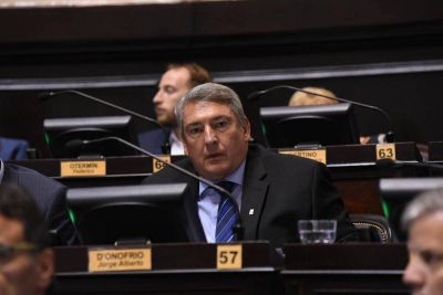 Para D'Onofrio la gesti�n de Vidal es 