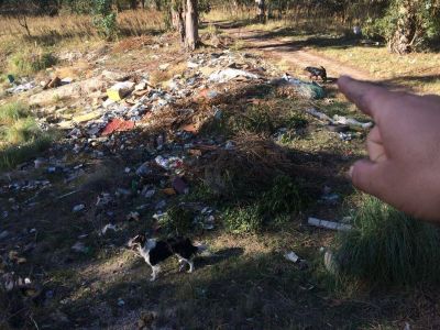 Cavas que son microbasurales: Buscan que se cumplan intimaciones a propietarios de terrenos abandonados